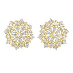 Breathtaking Diamond Earrings